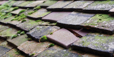 Atlantic Wharf roof repair costs